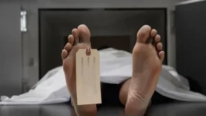 Sopir Pembunuh Bocah di Pondok Pinang Meninggal