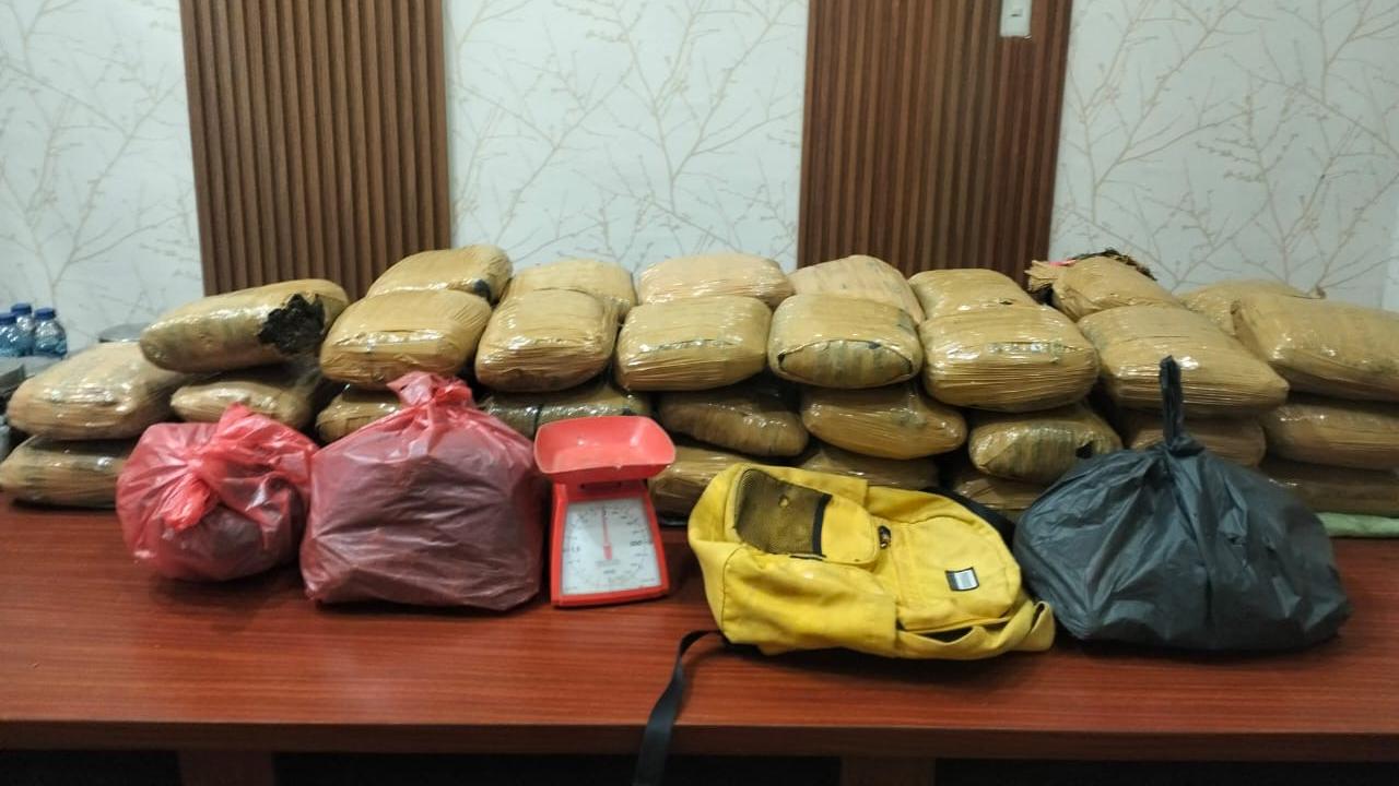 Bareskrim Gagalkan Peredaran 47 Kg Ganja di Sumut